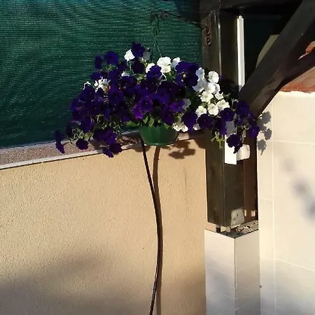 Studio Apartman Giardino *