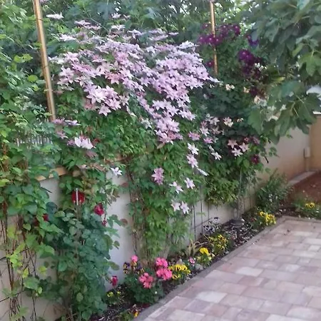 Studio Apartman Giardino * Vir
